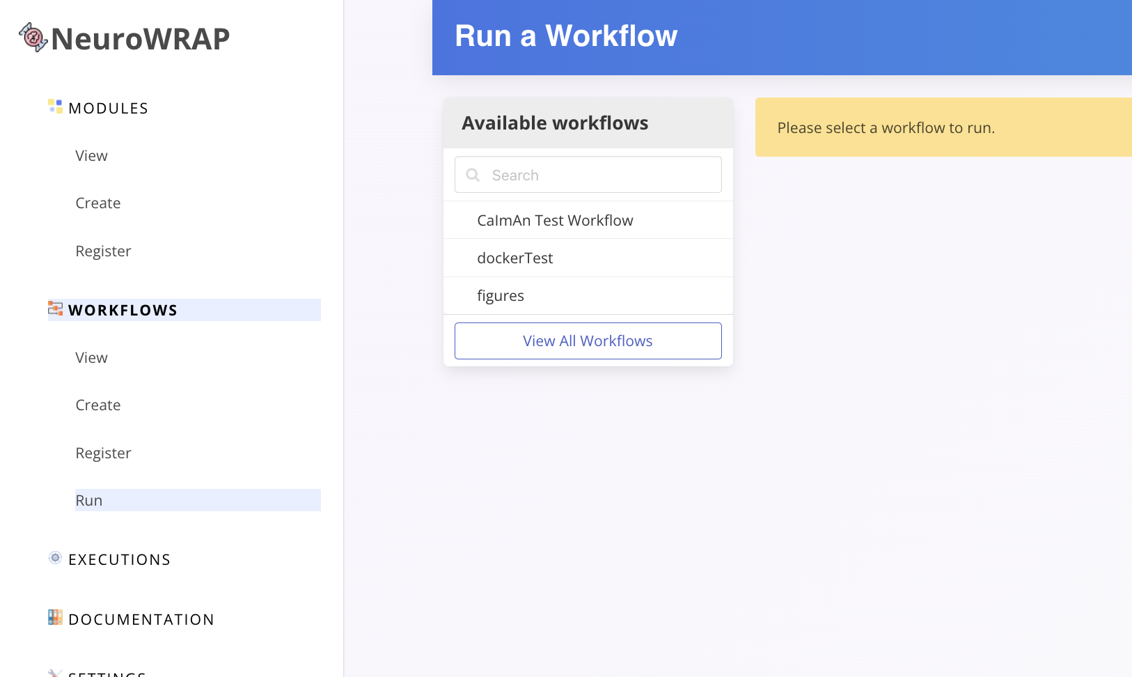 Run Workflow Tab